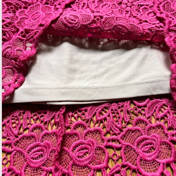 Lovers + Friends Size M Pink Radiant Sleeveless Lace Overlay Shift Mini Dress - Picture 6 of 10